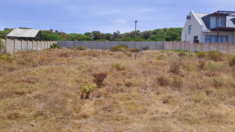 0 Bedroom Property for Sale in Jongensfontein Western Cape